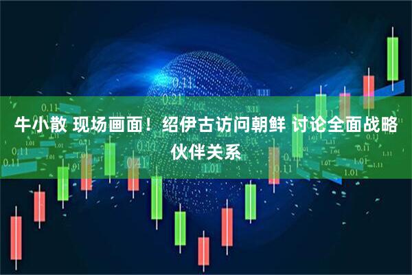 牛小散 现场画面！绍伊古访问朝鲜 讨论全面战略伙伴关系